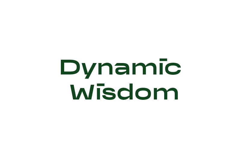 Dynamic Wisdom