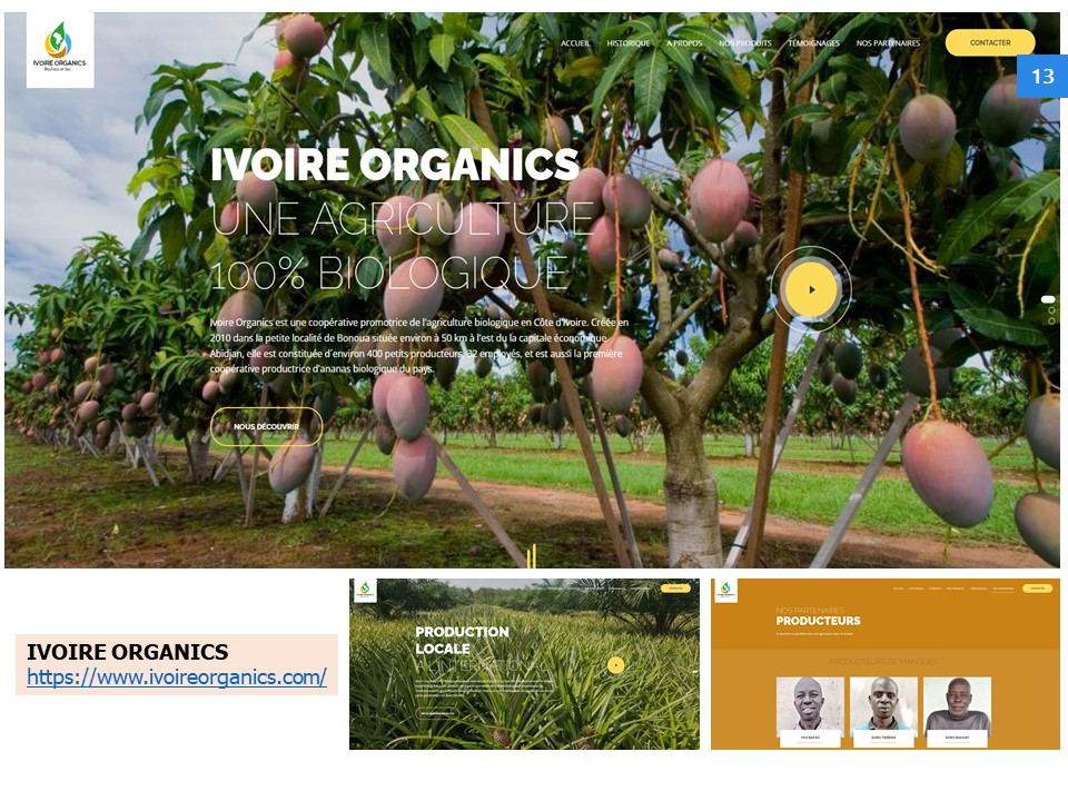 IVOIRE ORGANICS
