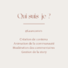 Portfolio Laurecomm