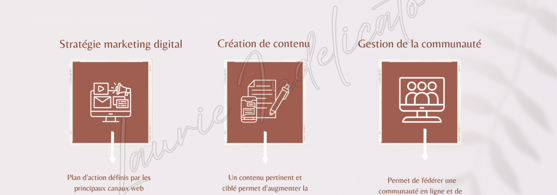 Portfolio Laurecomm