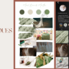 Portfolio Laurecomm