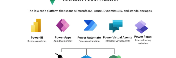 SharePoint PowerPlatform Consultant
